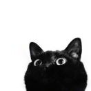 5x5=35的头像-博士钣金 - www.bsbanjin.com