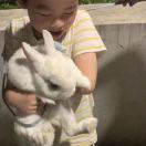 貓貓熊