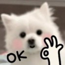 咖卡