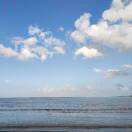 黄泽星的头像-秀琴曲谱网