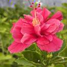 贵港市第二人民医院