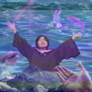 又一只兔子而已