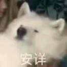 caf5b0c864ee4dd6's Avatar