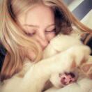 罗曼蒂克的头像-秀琴曲谱网