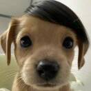 氧气行的头像-音创社AI SonoCraft丨科技改变未来