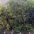 呆萌可爱小锤锤儿的头像_知识产权零距离网（IP0.cn）