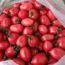 本地蔬菜18788819068