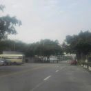 志东