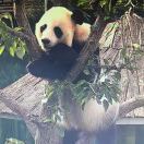 兰州野生动物园的头像-西风网络安全