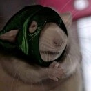 哈泰的头像-cok论坛 - AGREE动漫游戏