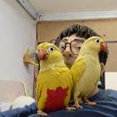 ldreaming的头像-小果迷