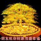 建安汇用户头像
