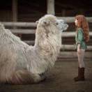 住进鸟眼睛以后