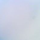 用户41253764的头像-正骨教程博客