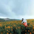 御茗茶居～秋秋