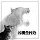搏金科技