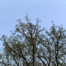 用户54776123 - 校园论坛