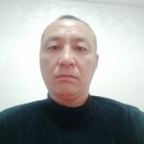 与木共舞