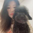 PATT。