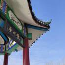 舒心-秀琴曲谱网