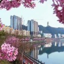 袁东