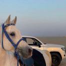 王奇龙   ¹⁷⁷⁵¹⁴³³⁹⁹⁵