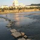 Yunzhi