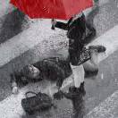 支支昂昂-秀琴曲谱网