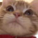 9i7z的头像-一起玩MC-华欣云资源站