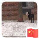 周良