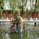 個人頭像