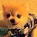 方Amy