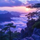 于竞的头像-熵减岛