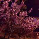 用户20547719的头像-博士钣金 - www.bsbanjin.com