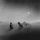 双碳 秦 18806395102的头像-熵减岛