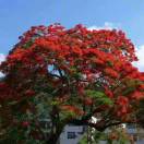 用户64229618的头像-博士钣金 - www.bsbanjin.com