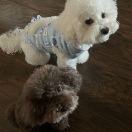 null转租&房东直租