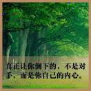PHP数据库开发