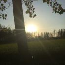 RedtreenglishMr.李的头像 