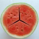 肥城市嘉讯网络产品运营中心