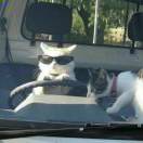 常年鱼的头像 - 校园论坛