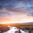 谷心心的头像-熵减岛