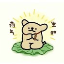 张耀的头像-秀琴曲谱网