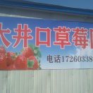 AAA自由人卞绍林