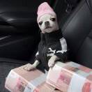 user_gvjvejw6valfhfst member profile picture