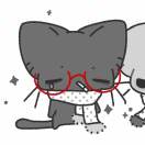 不早言的头像-松纸工作室博客