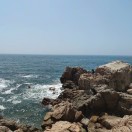 初夏