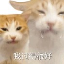 晓巷暮雨