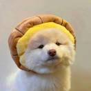 十月.的头像-助眠音声网