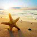 王志臻℡¹⁵⁶⁸⁹¹¹³²⁶⁸